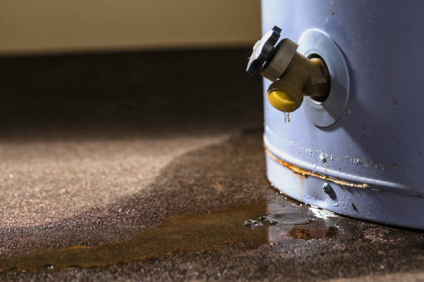 Best Water damage restoration mold remediation  in Hamtramck, MI