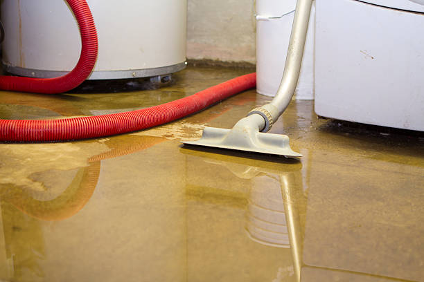 Best Water damage restoration near me  in Hamtramck, MI