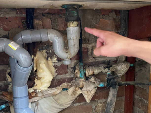 Best Sewage cleanup and water damage restoration  in Hamtramck, MI