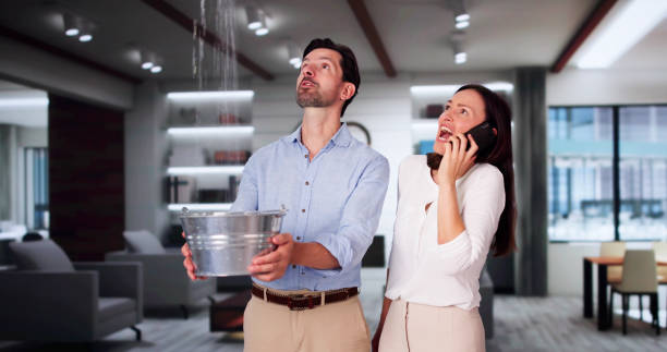 Best Water damage cleanup near me  in Hamtramck, MI