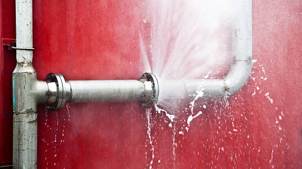 Best Water damage restoration near me  in Hamtramck, MI